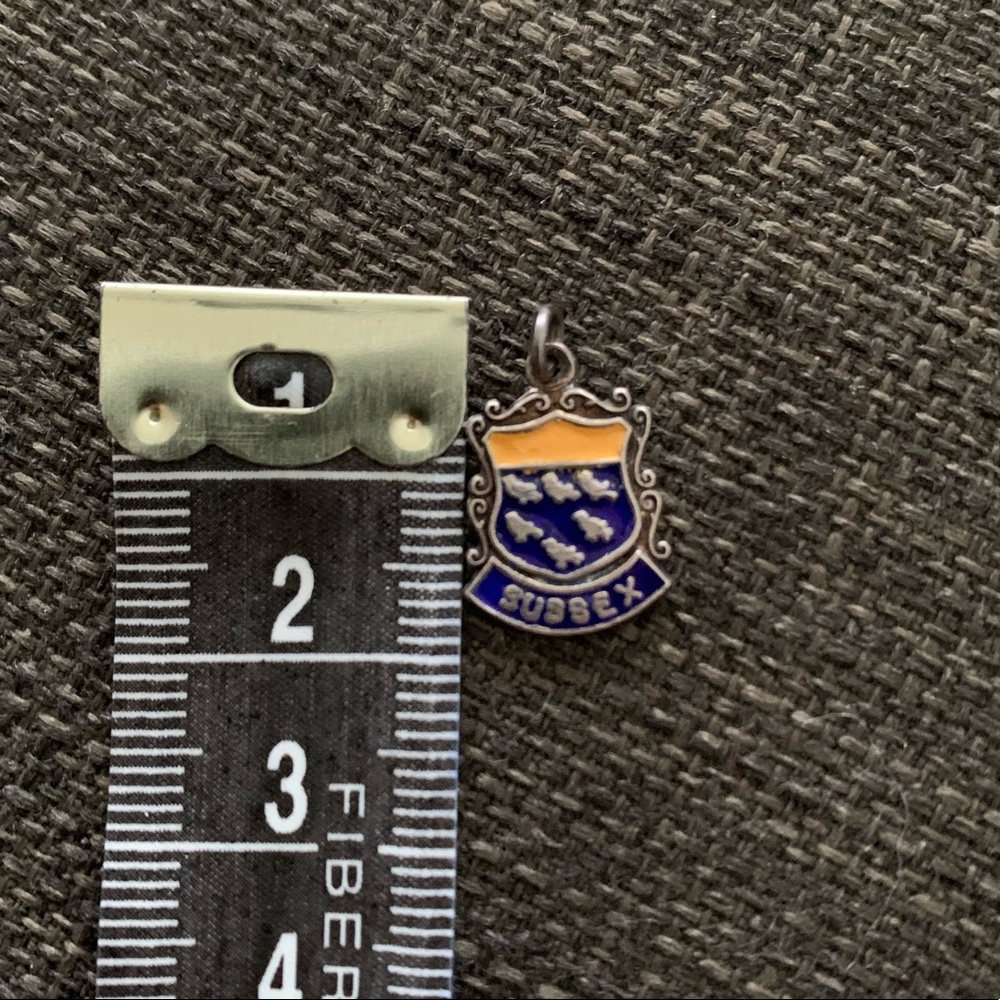 925 Sterling Silver Enamel Sussex Charm
